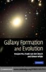 Image for Galaxy formation and evolution