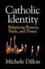 Image for Catholic identity: balancing reason, faith, and power