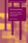 Image for The virtual prison: community custody and the evolution of imprisonment