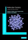 Image for Molecular clusters: a bridge to solid-state chemistry