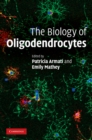 Image for Biology of Oligodendrocytes