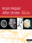 Image for Brain Repair After Stroke