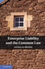 Image for Enterprise Liability and the Common Law