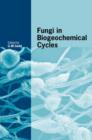 Image for Fungi in biogeochemical cycles