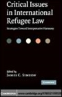 Image for Critical Issues in International Refugee Law