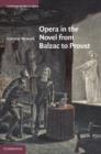 Image for Opera in the novel from Balzac to Proust