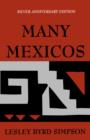 Image for Many Mexicos