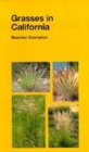 Image for Grasses in California