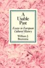 Image for A Usable Past : Essays in European Cultural History