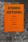Image for Ethnic Options : Choosing Identities in America