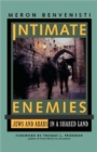 Image for Intimate Enemies : Jews and Arabs in a Shared Land