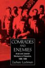 Image for Comrades and Enemies : Arab and Jewish Workers in Palestine, 1906-1948