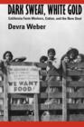 Image for Dark Sweat, White Gold : California Farm Workers, Cotton, and the New Deal