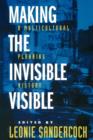 Image for Making the Invisible Visible