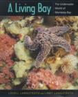 Image for A Living Bay : The Underwater World of Monterey Bay