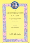 Image for A Mediterranean Society, Volume II