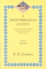 Image for A Mediterranean society  : the Jewish communities of the Arab world as portrayed in the documents of the Cairo GenizaVolume IV,: Daily life