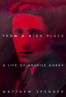 Image for From a high place  : a life of Arshile Gorsky