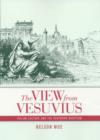 Image for The View from Vesuvius
