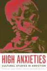 Image for High anxieties  : cultural studies in addiction