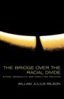 Image for The Bridge over the Racial Divide