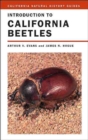 Image for Introduction to California Beetles