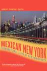 Image for Mexican New York  : transnational lives of new immigrants