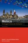 Image for Mexico  : the struggle for democratic development