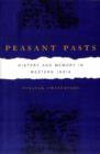 Image for Peasant pasts  : history and memory in western India