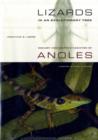 Image for Lizards in an evolutionary tree  : the ecology of adaptive radiation of anoles