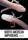 Image for North American amphibians  : distribution and diversity