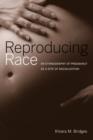Image for Reproducing race  : an ethnography of pregnancy as a site of racialization