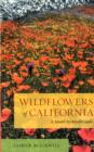 Image for Wildflowers of California  : a month-by-month guide
