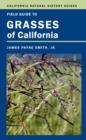 Image for Field Guide to Grasses of California