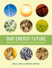 Image for Our energy future  : introduction to renewable energy and biofuels