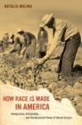 Image for How race is made in America  : immigration, citizenship, and the historical power of racial scripts