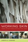 Image for Working skin  : making leather, making a multicultural Japan