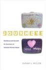 Image for Journeys : Resilience and Growth for Survivors of Intimate Partner Abuse