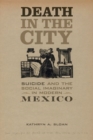 Image for Death in the City : Suicide and the Social Imaginary in Modern Mexico