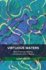 Image for Virtuous Waters