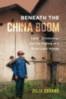Image for Beneath the China boom  : labor, citizenship, and the making of a rural land market