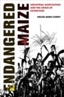 Image for Endangered maize  : industrial agriculture and the crisis of extinction