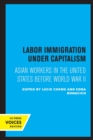 Image for Labor Immigration under Capitalism