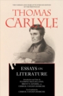 Image for Essays on Literature