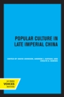 Image for Popular culture in late imperial China