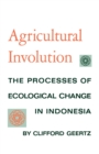 Image for Agricultural involution: the process of ecological change in Indonesia