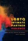 Image for LGBTQ intimate partner violence  : lessons for policy, practice, and research