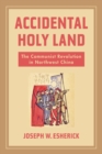 Image for Accidental holy land  : the Communist revolution in northwest China