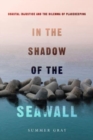Image for In the shadow of the seawall  : coastal injustice and the dilemma of placekeeping