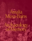 Image for Amalia Mesa-Bains - archaeology of memory